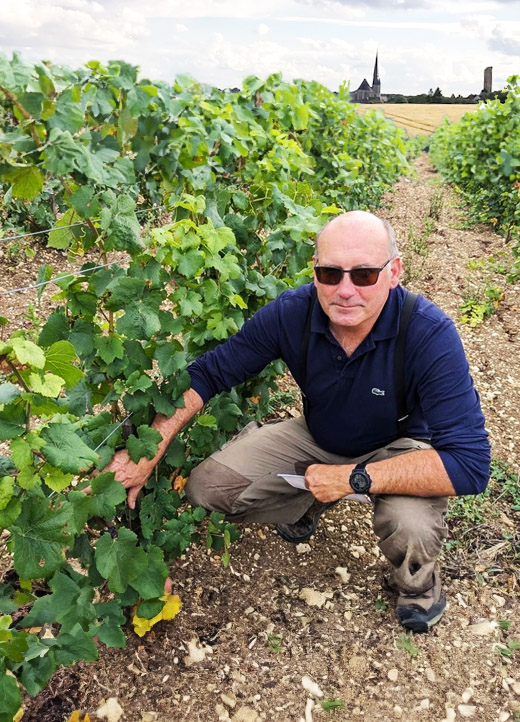 Vigneron récoltant à Gallardon