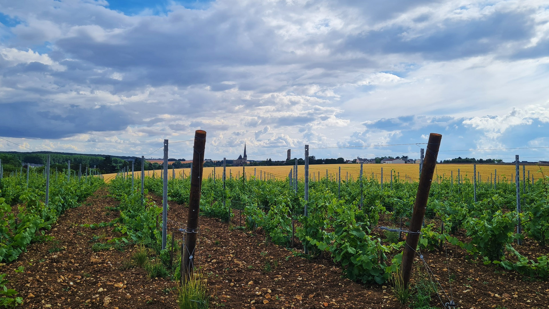 Domaine de l'Épaule